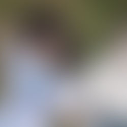 A History of Sitting in Waiting Rooms (Or Whatever Longer Title You Prefer) [2023]