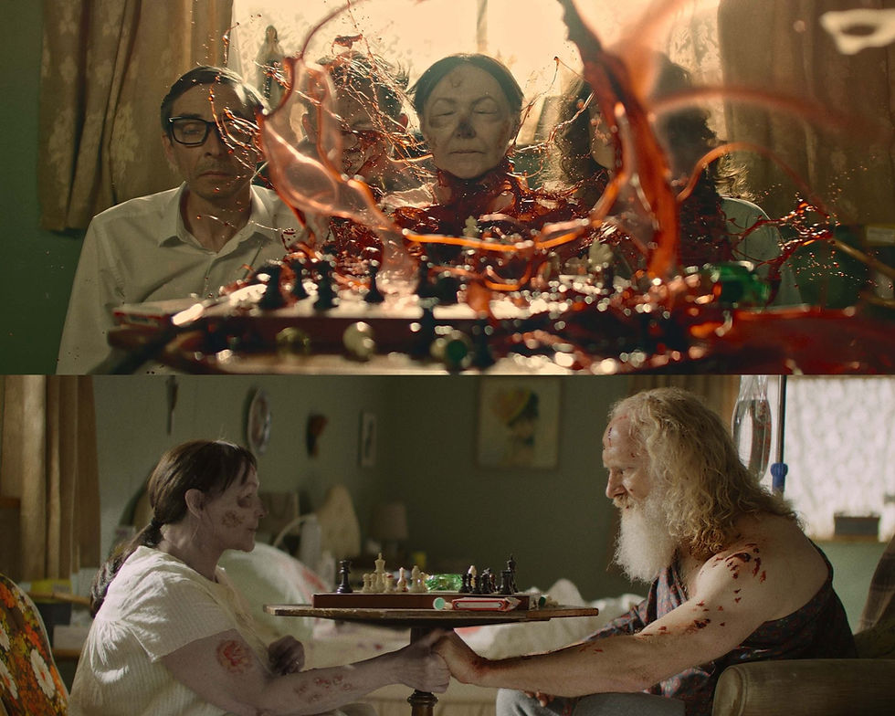 A Hand to Hold (2026)