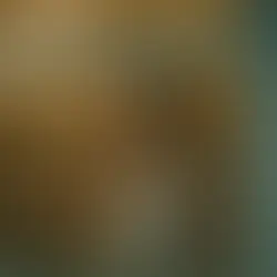 400 Cassettes (2024)