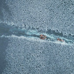 One with the Whale (2023)