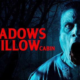 Shadows of Willow Cabin (2025)