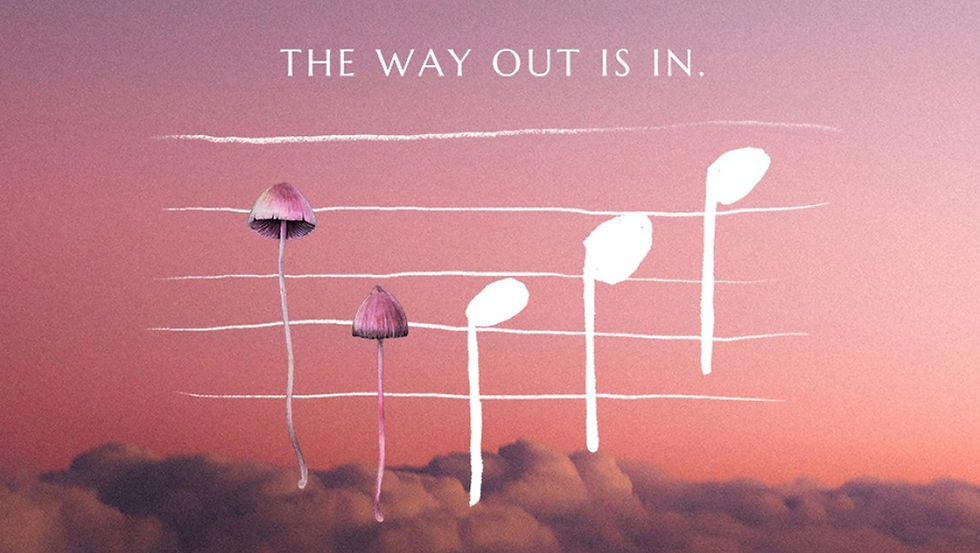 Music for Mushrooms (2024)