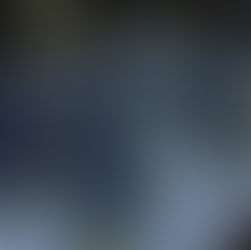 Whose Woods are These (2025)