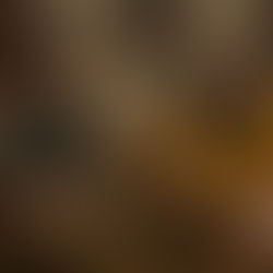 The French Italian (2024)