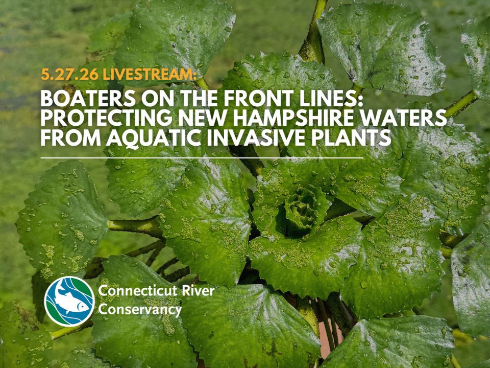 Protecting New Hampshire Waters from Aquatic Invasive Plants