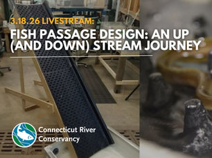 Fish Passage Design: An Up (and Down) Stream Journey LiveStream