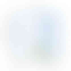 Cyanobacteria monitoring report 2023-2025 by Connecticut River Conservancy