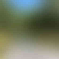 Cyanobacteria monitoring report 2023-2025 by Connecticut River Conservancy