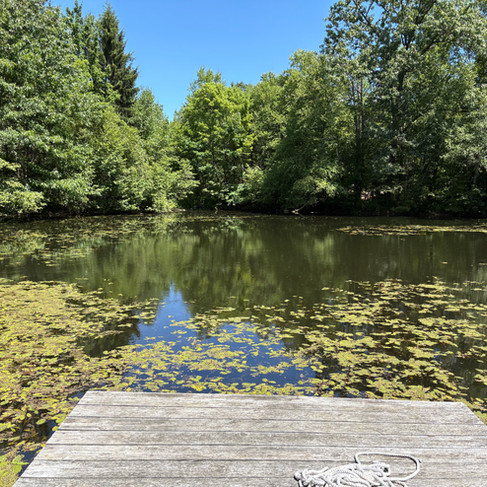 Cyanobacteria monitoring report 2023-2025 by Connecticut River Conservancy