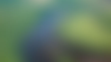 Connecticut River in Northfield, MA