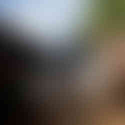 Source to Sea volunteers picking up trash