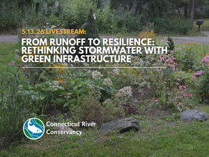 From Runoff to Resilience: Rethinking Stormwater with Green Infrastructure