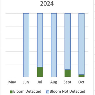 Cyanobacteria monitoring report 2023-2025 by Connecticut River Conservancy