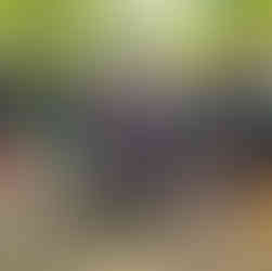 Source to Sea volunteers picking up trash