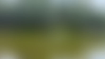 Cyanobacteria Monitoring Report 2023-2025