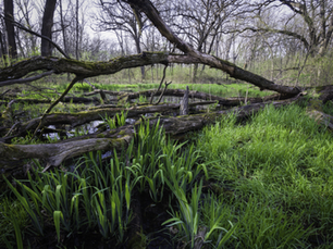 How the Supreme Court’s Clean Water Act Decision May Impact the Connecticut River & Surrounding Habitats