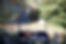 BQ3A4976.jpg