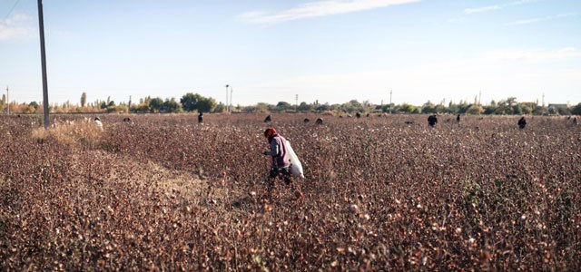 Принятие соглашения проходит на фоне новых доказательств государственного принуждения к сборке хлопка. Ряд правозащитных организаций, включая "Anti-Slavery International", призывает бойкотировать продукцию из Узбекистана