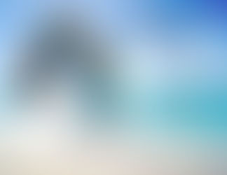 "Underwater" se joint à l'exposition "Sea" à  l'Art Hub, The Mall World Trade Center AbuDhabi