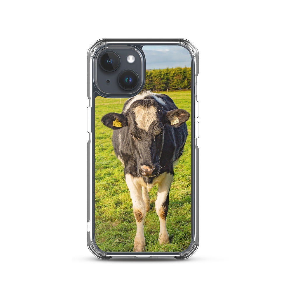 Thumbnail: Cow in the meadow, Clear Case for iPhone®