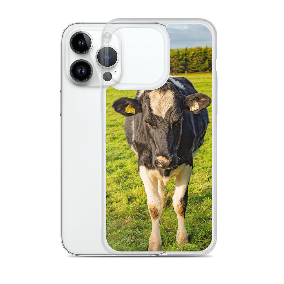 Thumbnail: Cow in the meadow, Clear Case for iPhone®