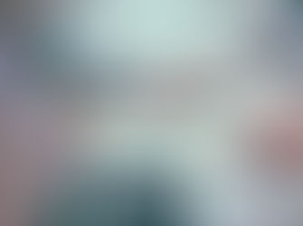 PRODUCTIZING SERVICES IN THE IT SERVICES INDUSTRY