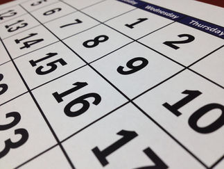 A 100-DAY PLAN FOR YOUR NEW PROFESSIONAL SERVICES LEADERSHIP ROLE