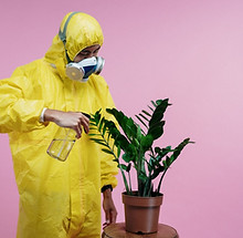person-in-yellow-coveralls-spraying-plant-3951386-1024x683.jpg