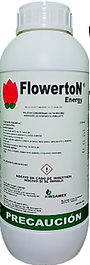 FlowertoN Energy® PRODUCTO.png