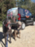20180927_145027.jpg
