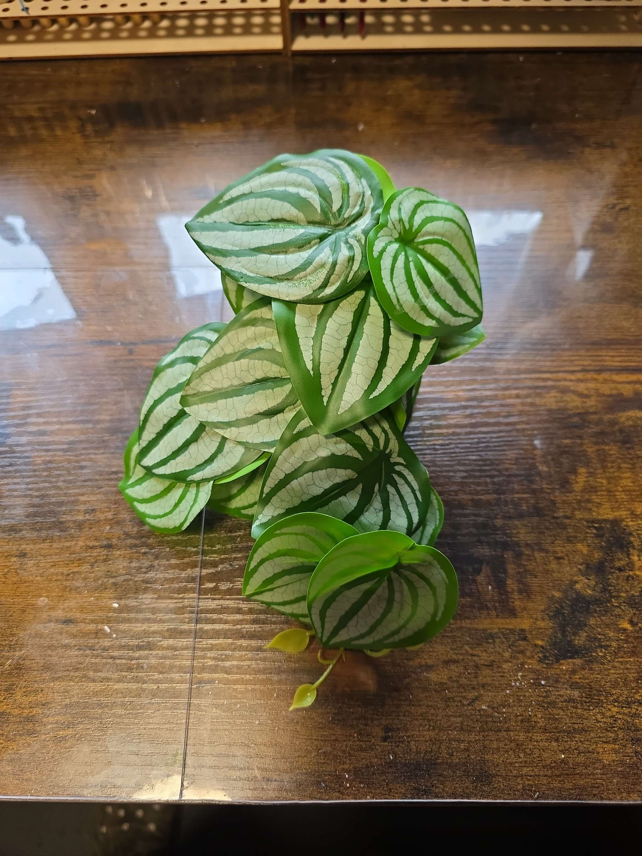 JSW Magnetic artificial trailing Green striped Pothos plant