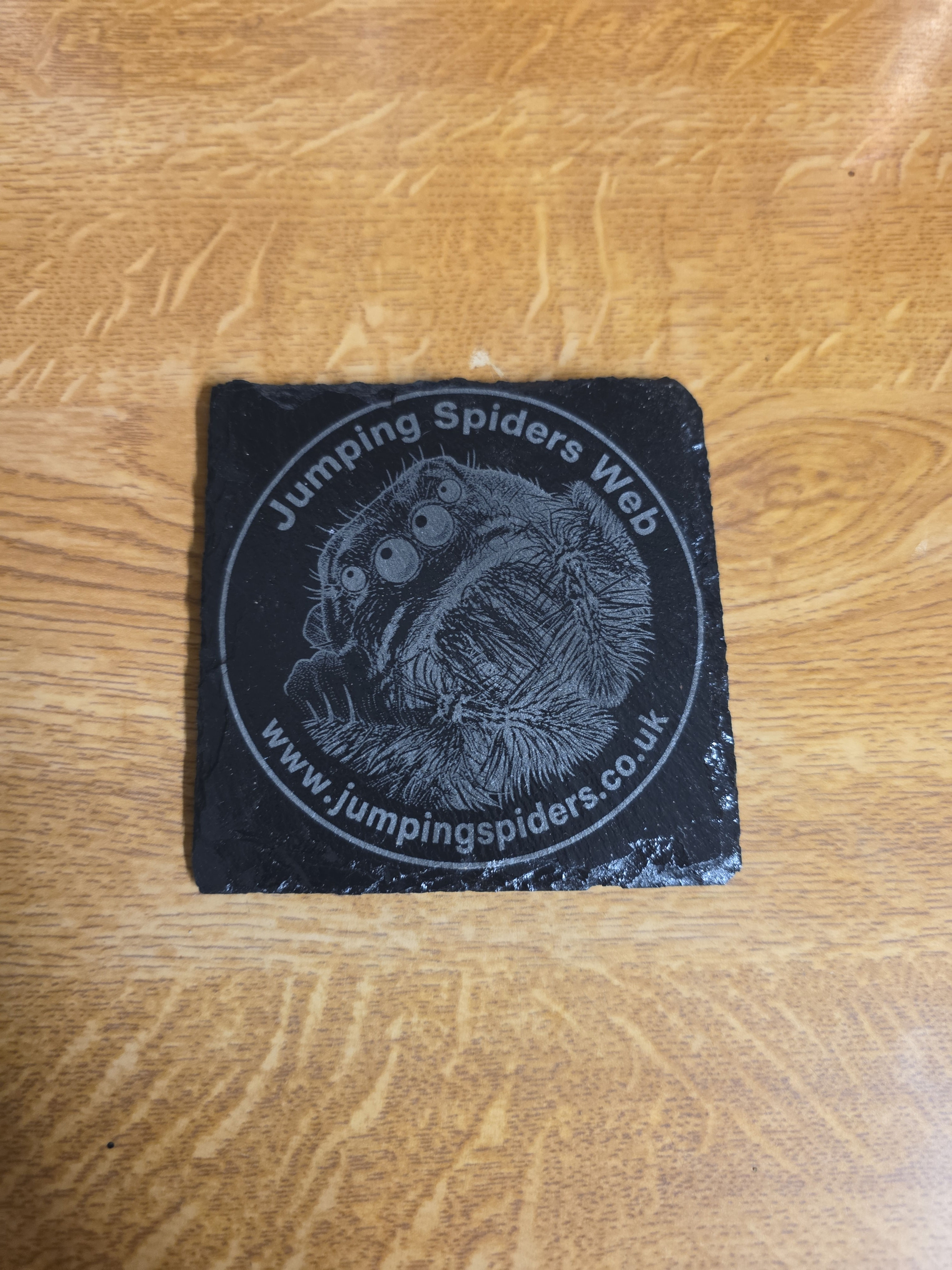 Jumping Spider Web Logo Coaster (Real Slate)