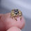 Miniatura: Stunning Phidippus otiosus 'Ocala' (Unsexed) 10 mm
