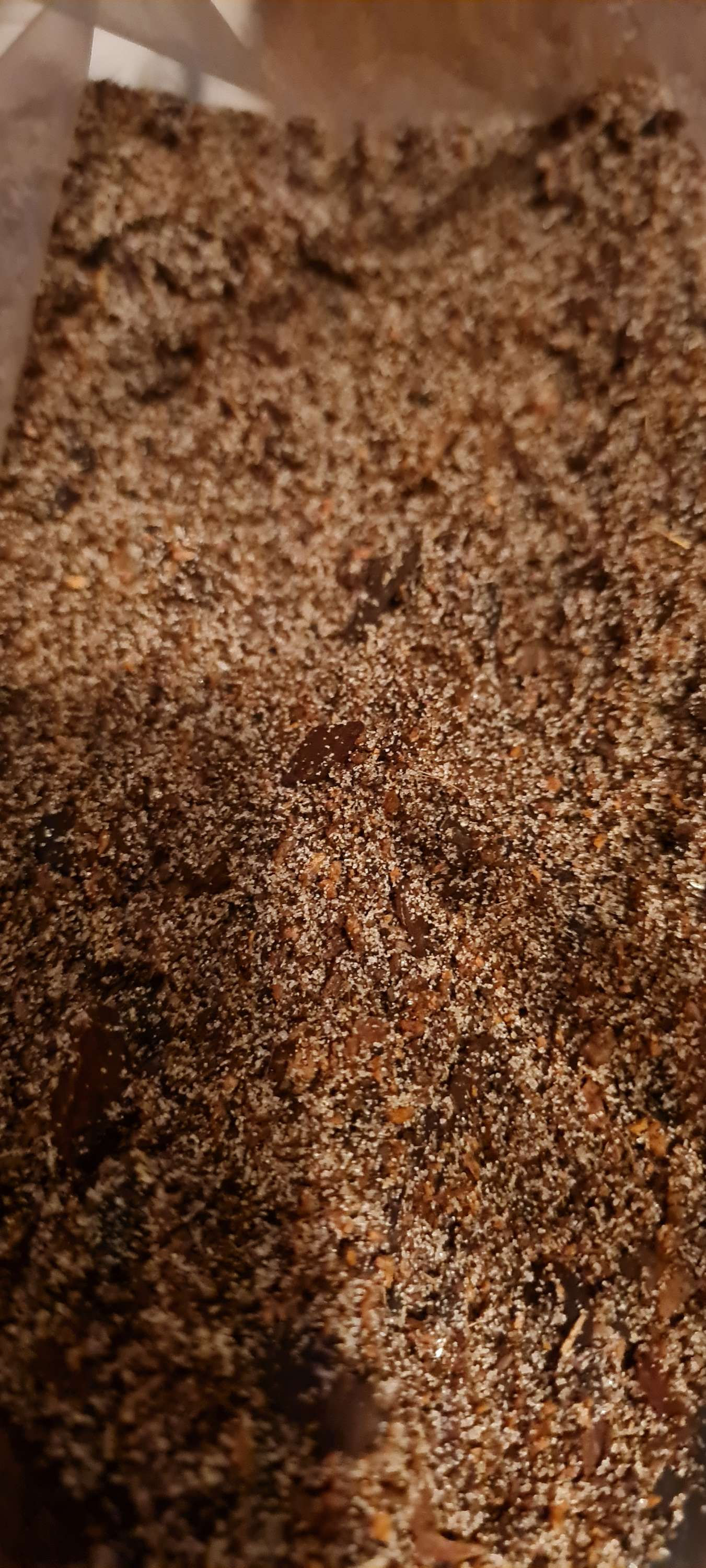 JSW Substrate (For Arid Species) 300g