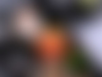 Experience Winterlicious! 