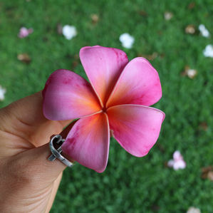 A walk down memory lane at the Kea Lani + a gorgeous full moon!