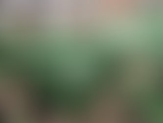 Una lectura foucaultiana del aborto legal en Argentina