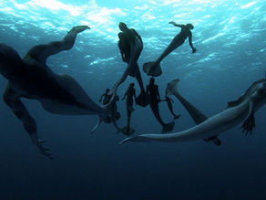 Sirenas, fetiquistas y degeneradas