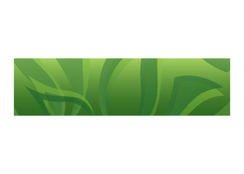ACSA_pattern-02.png