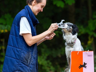 Немного фото с прошедших соревнований по дог-фризби