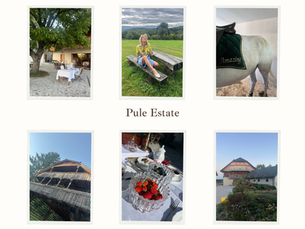 Nouveau luxe / Posestvo Pule Estate / L'état sauvage