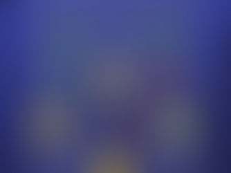 Šeštojo turo simbolinėje rinktinėje – Jonas Usavičius ir Arvydas Novikovas