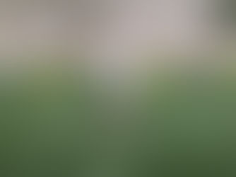 Kontrolinėse rungtynėse „Riteriai“ nugalėjo „Daugavpils“