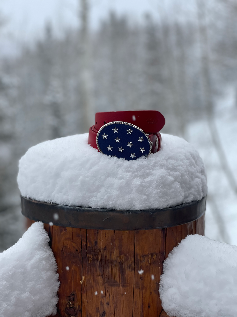 Thumbnail: Star Spangled