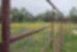 20240408_090035_edited.jpg
