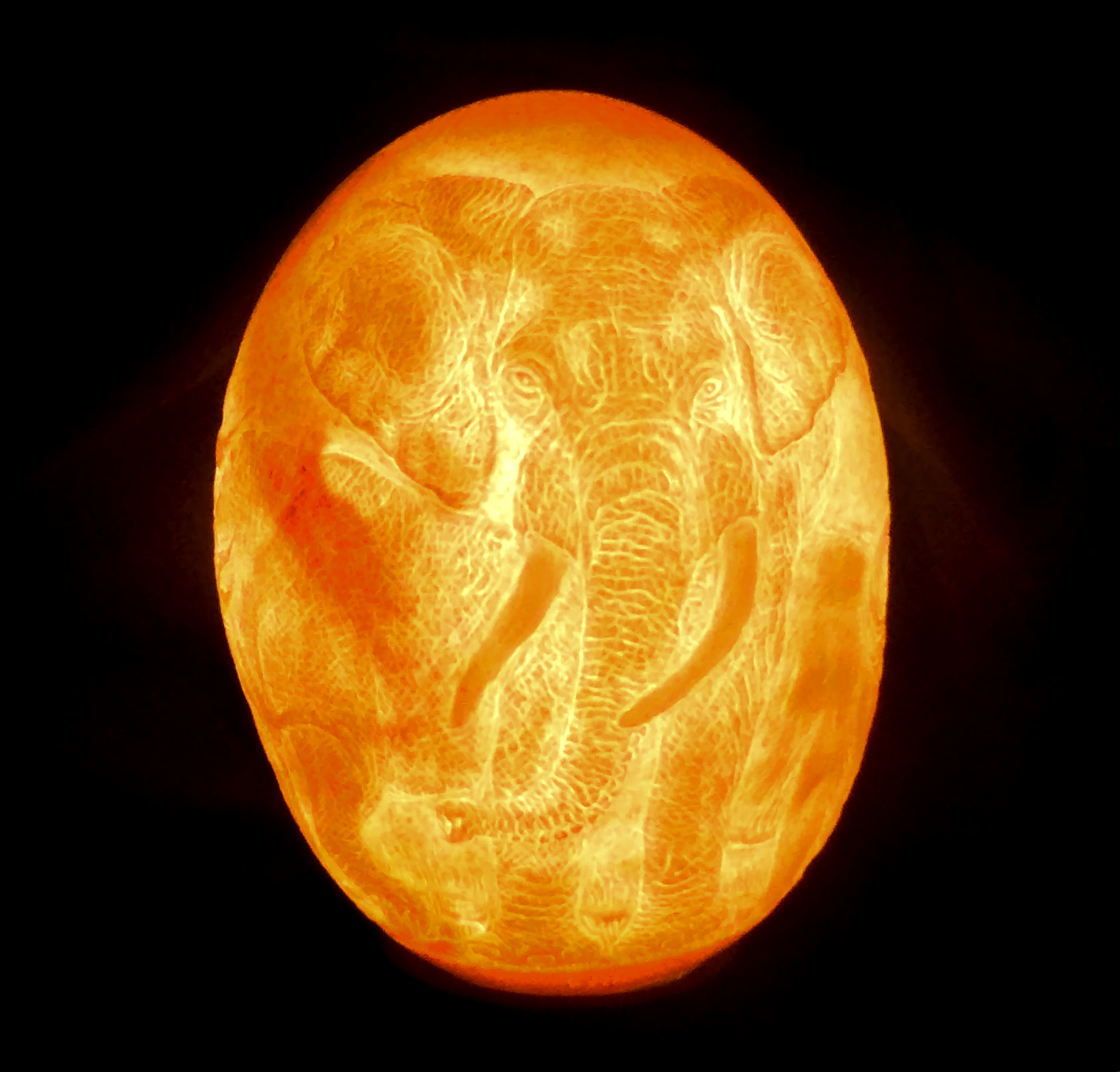 The Big Five of Africa (carved on a Ostrich Egg) - 20 cm x 15 cm