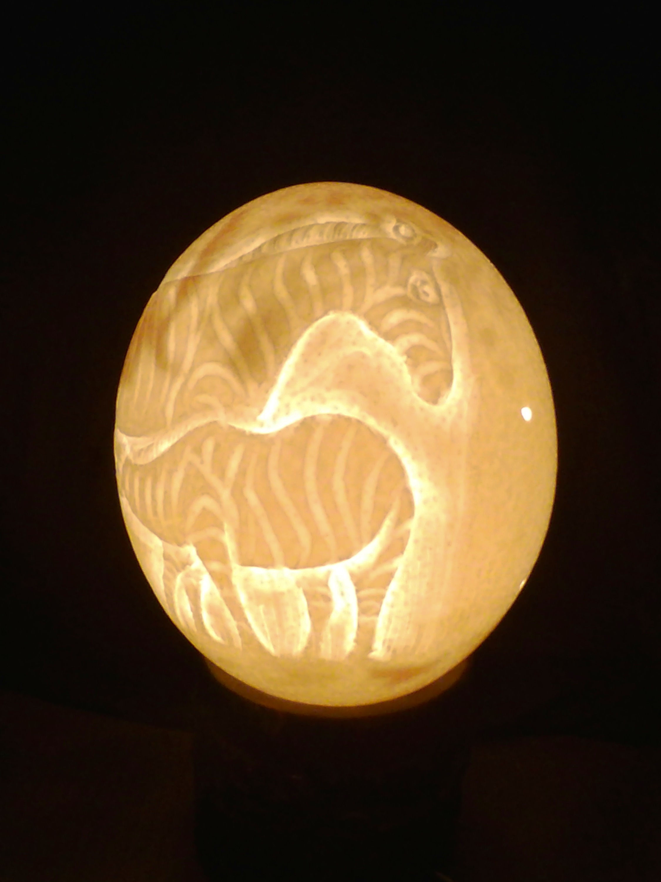 Zebras (carved on a Ostrich Egg) - 20 cm x 15 cm