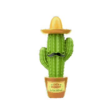cactus-whiteBG-0008-unscreen (1).gif