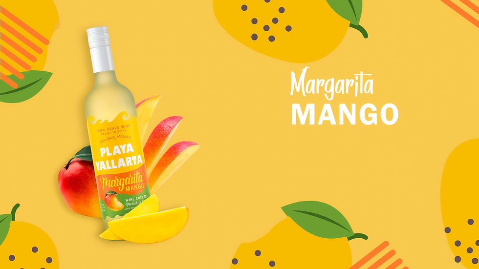 FIND US Playa Vallarta