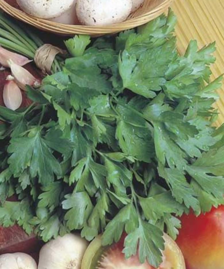 Thumbnail: Buy My Seeds Herb Seed Kit DIY online at My Seeds